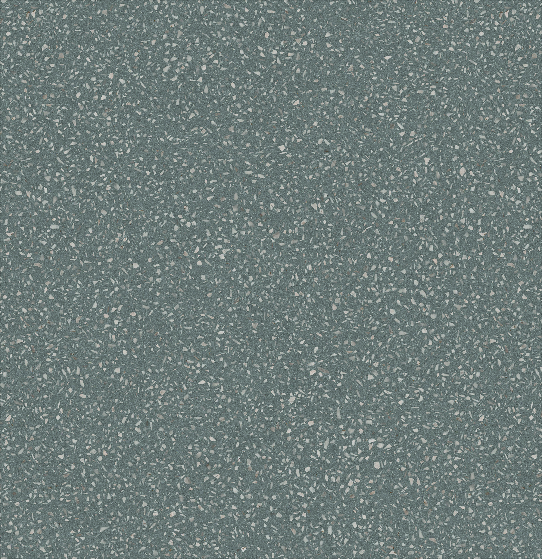 554213 VENEZIA TERRA