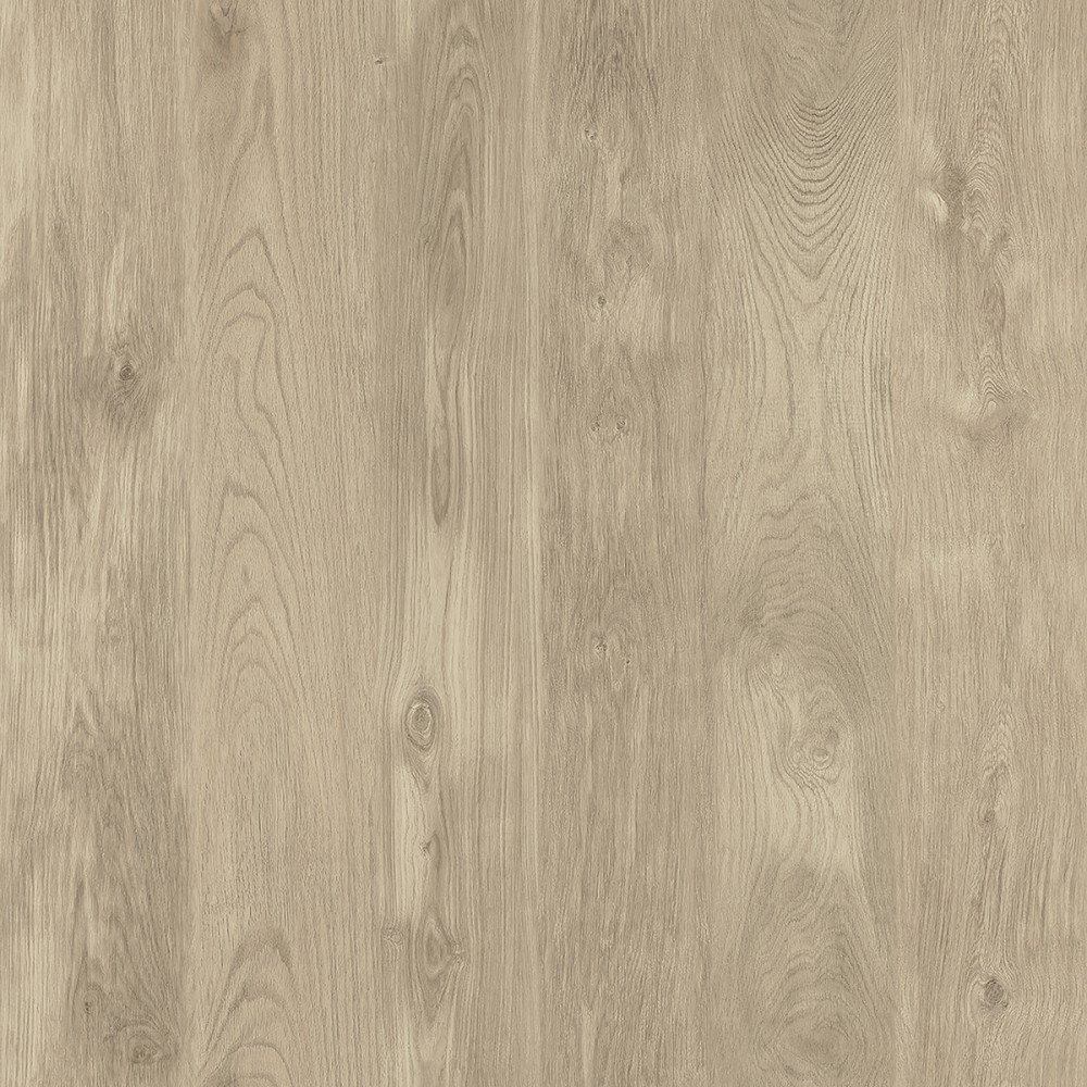 537950 CHENE TRADITION