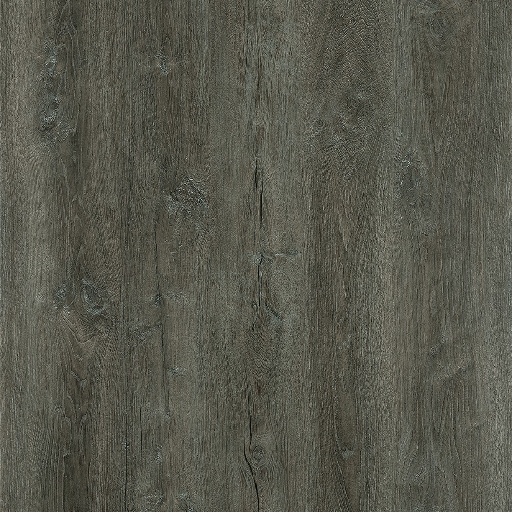 537959 CHENE CARACTERE CENDRE