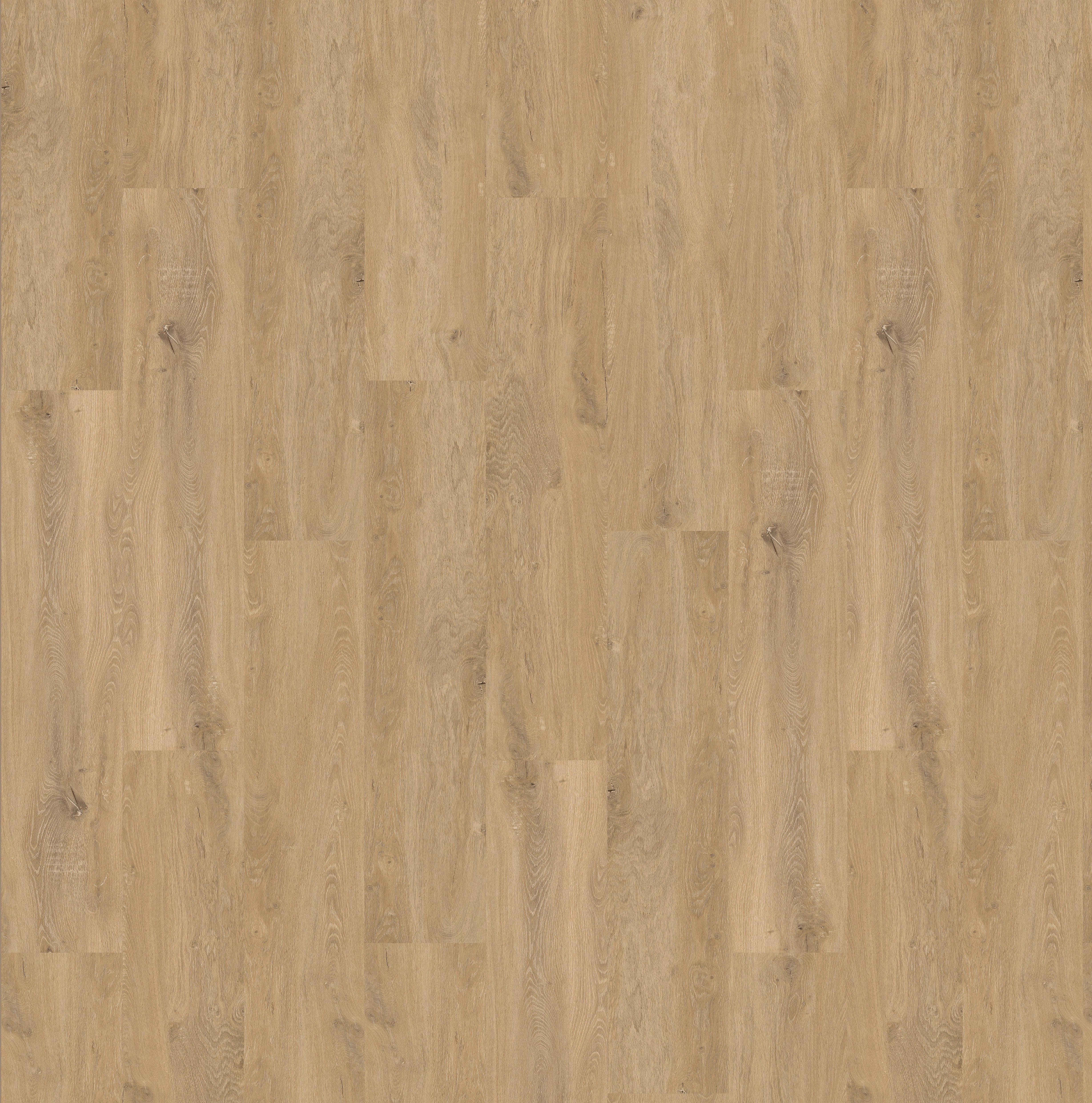 625903 CHENE CAPPUCCINO