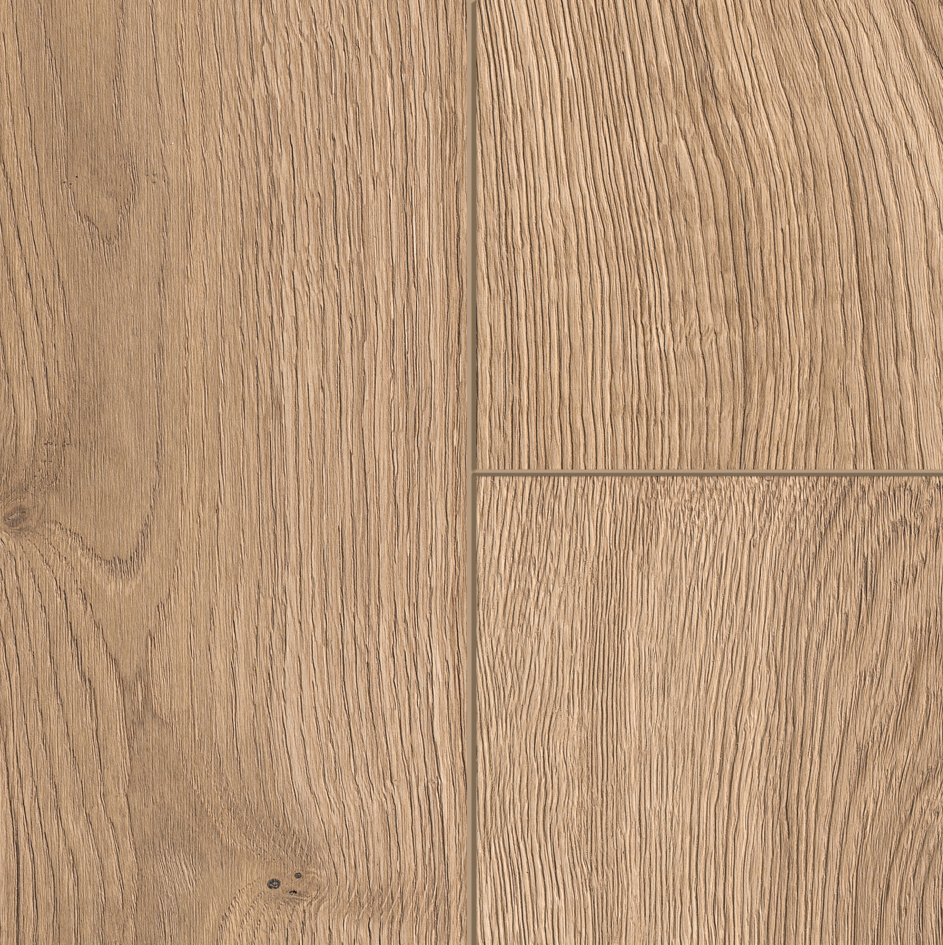 629309 SIERRA NEVADA