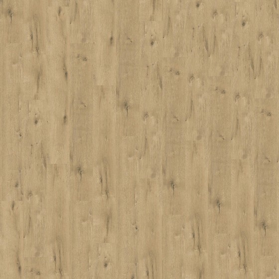 LAME 18X122 CM  643416 AUGUSTINE