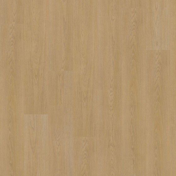 D90122 639122 CHENE VENUS