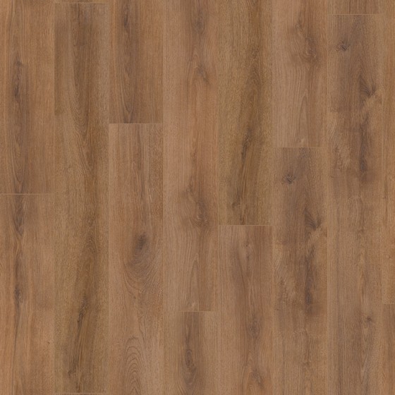 D3901 639201 CHENE DRACO