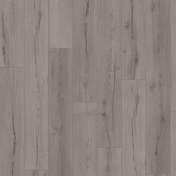 D4175 639275 CHENE URSA