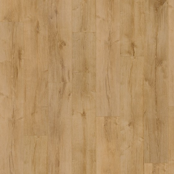 D4617 639217 CHENE PEGASE