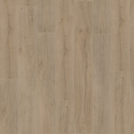 D6401 639210 CHENE ERIDAN