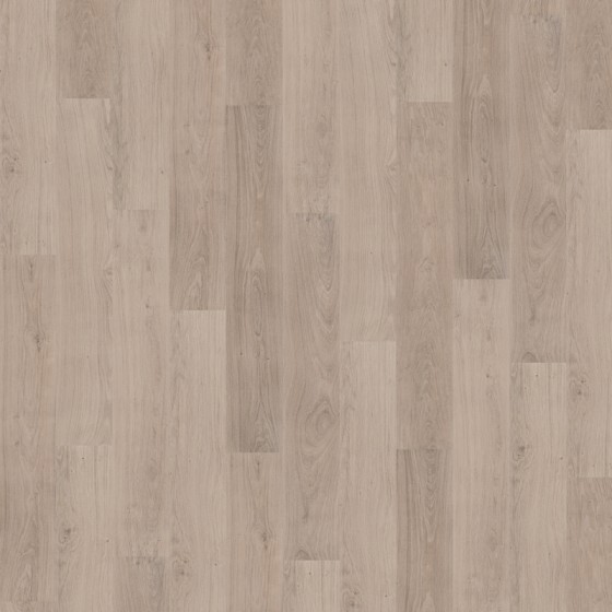 TCF471 638671 CHENE LYRA