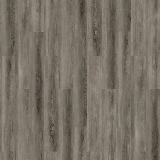 TCF407 638607 CHENE LIBRA