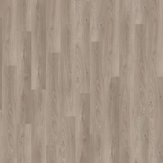 LAM475 638775 CHENE VEGA