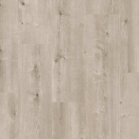 LAM691 638791 CHENE ARA