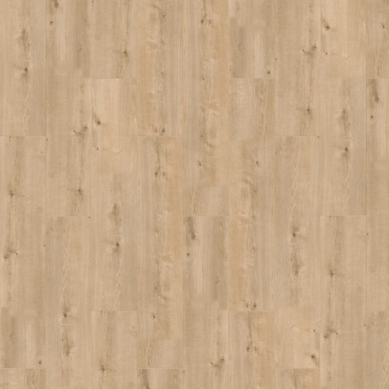 LAM699 638799 CHENE AQUILA