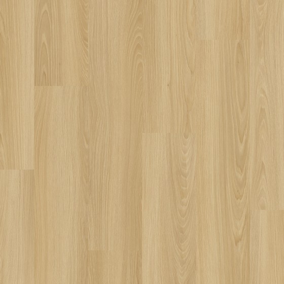 LAM463 638763 CHENE CARENE