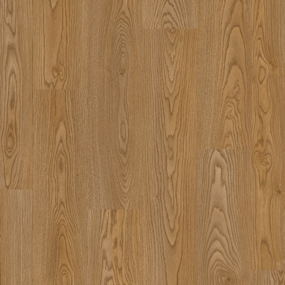 LAM768 638768 CHENE ORION