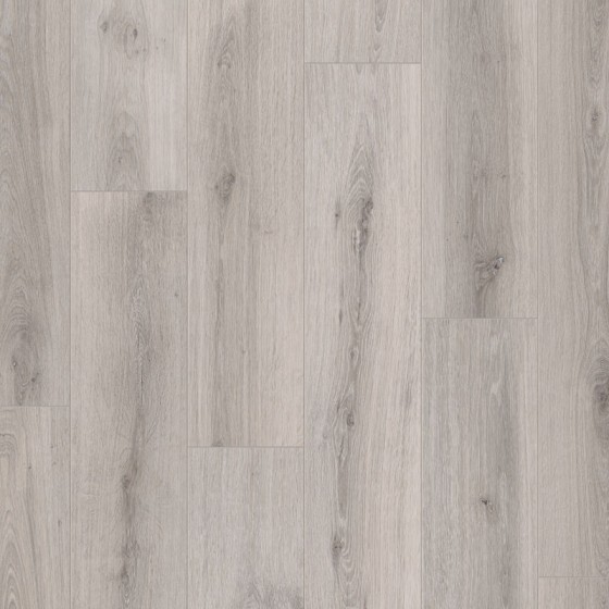 LDCL404 638904 CHENE MENSA