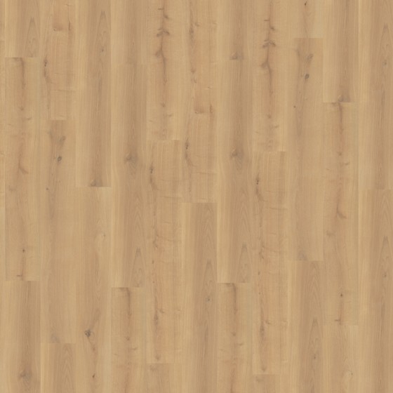 LFM465 638865 CHENE ZETA